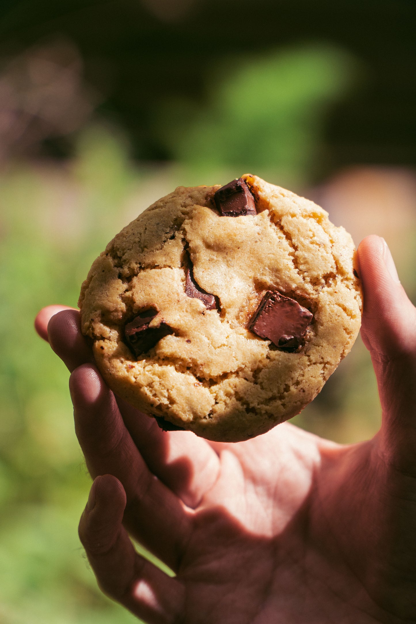 Cookie - Chocolat onctueux - 70g